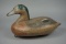 WIDGEON FROM CECIL CO, MD