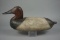 CANVASBACK FROM SUSQU. RIVER