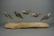 RUDDY TURNSTONES ON DRIFTWOOD