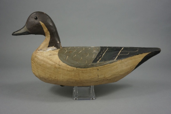 PINTAIL BY CAPT JOHN SMITH