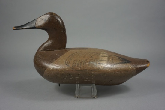 CANVASBACK BY CAPT HARRY MOORE