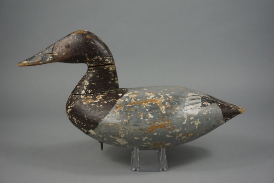 CANVASBACK BY STANLEY EVANS