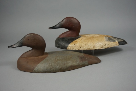 CANVASBASCK SINKBOX DECOYS IN THE HOLLY PATTERN