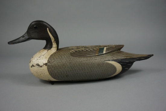 PINTAIL BY C R MARTER