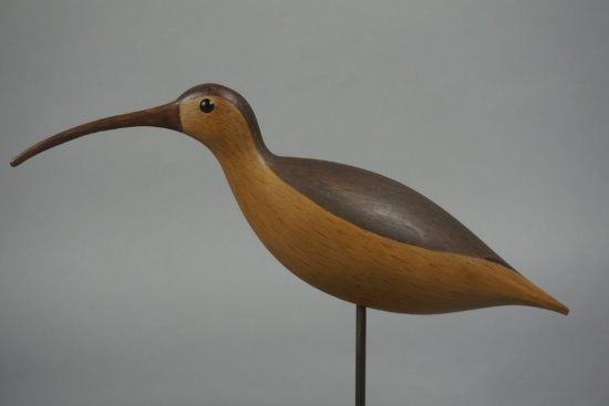 CURLEW BY FRANK FINNEY
