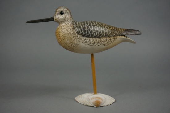 YELLOWLEGS BY DELBERT " CIGAR" DAISEY