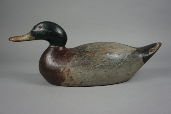 MALLARD FROM THE MASON DECOY FACTORY