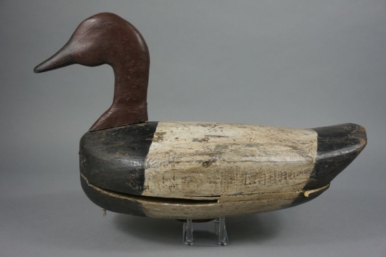 CANVASBACK FROM NORTH CAROLINA
