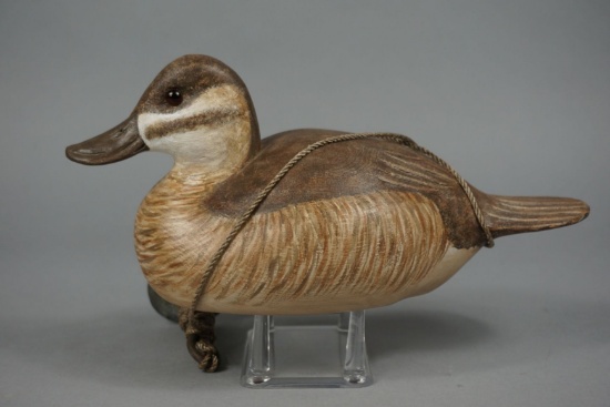 RUDDY DUCK BY DELBERT "CIGAR" DAISEY