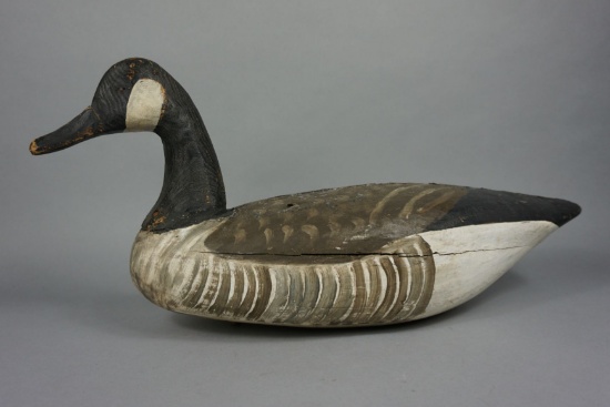 CANADA GOOSE BY MILES HANCOCK