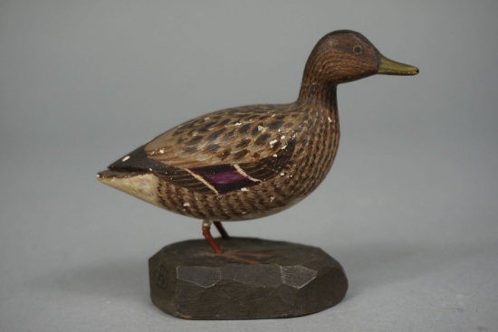 MALLARD BY FRANK FINNEY