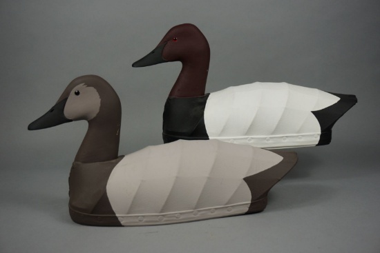 CANVASBACKS BY NICK SAPONE
