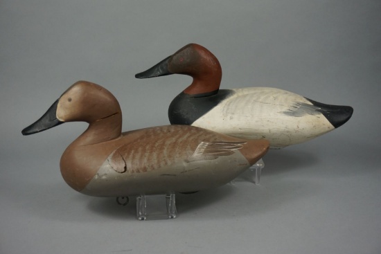 CANVASBACK BY R MADISON MITCHELL