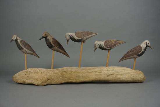 RUDDY TURNSTONES ON DRIFTWOOD