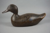 BLACK DUCK BY THE PRATT FACTORY
