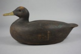 BLACK DUCK BY LONNIE GANUNG