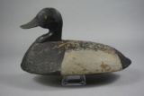 BLUEBILL FROM PENNSYLVANIA