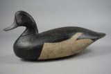 BLUEBILL BY WILLIAM MASON