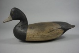 BLUEBILL BY CHARLES BIRCH