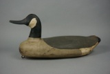 CANADA GOOSE FROM CANADA
