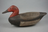 CANVASBACK UNKNOWN