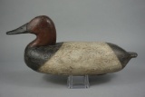 CANVASBACK FROM SUSQU. RIVER