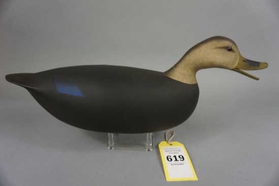 BLACK DUCK BY ROY LUCADEMA