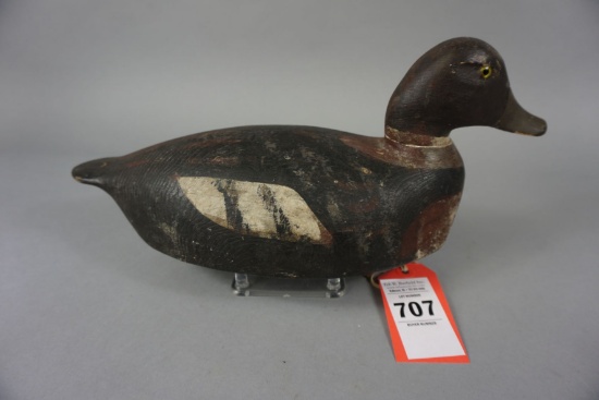 FACTORY HEN GOLDENEYE