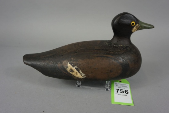 SCOTER BY O. DAVIS
