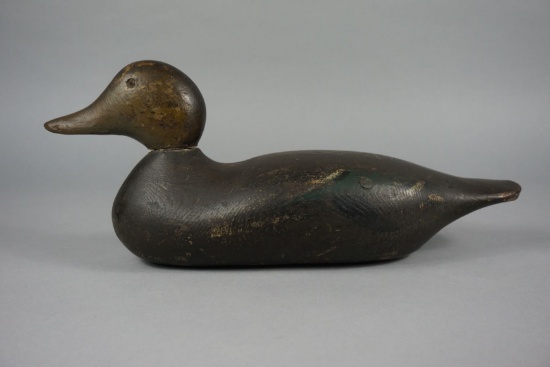 BLACK DUCK FROM THE MASON FACTORY