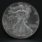 1996 American Eagle silver dollar