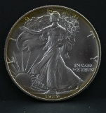 1989 American Eagle silver dollar