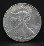 2002 American Eagle silver dollar