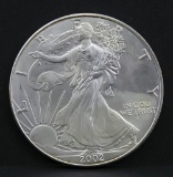 2002 American Eagle silver dollar