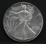 2004 American Eagle silver dollar