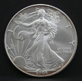 2005 American Eagle silver dollar