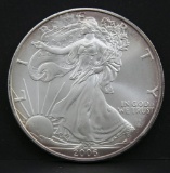 2006 American Eagle silver dollar