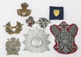 Group of Eight Hat Badges and Pins