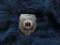 Guard Plant Protection badge (silver) #8