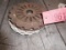 (9) PLANTER PLATES