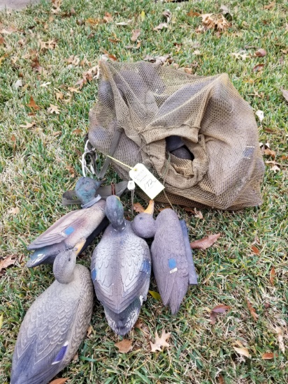 Bag of Duck Decoys
