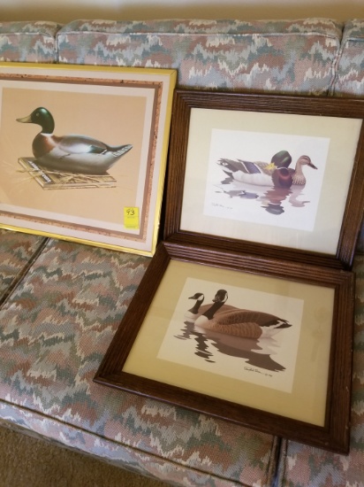 3 Duck Prints
