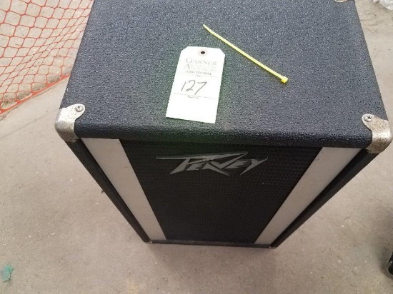Peavey  Model 210