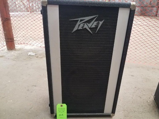 Peavey Model 210