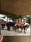 Passenger Buggy And Pair Of Haflinger Horses With Full Harness