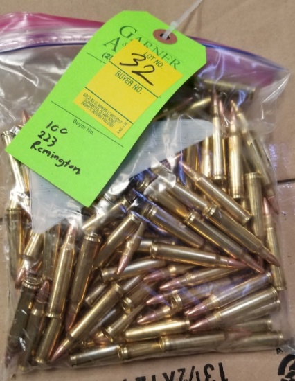 Remington 223- 100 Count