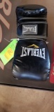 Everlast Boxing Gloves