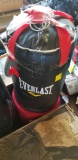 Everlast Punching Bag