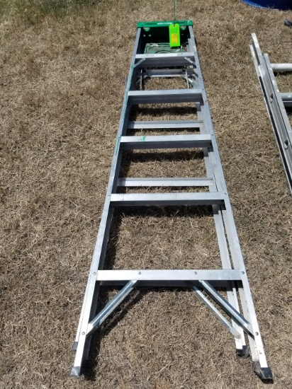 Werner 6' Ladder