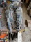 3 Craftsman Tools- 2 Polisher/sanders & 1 Torque Wrench
